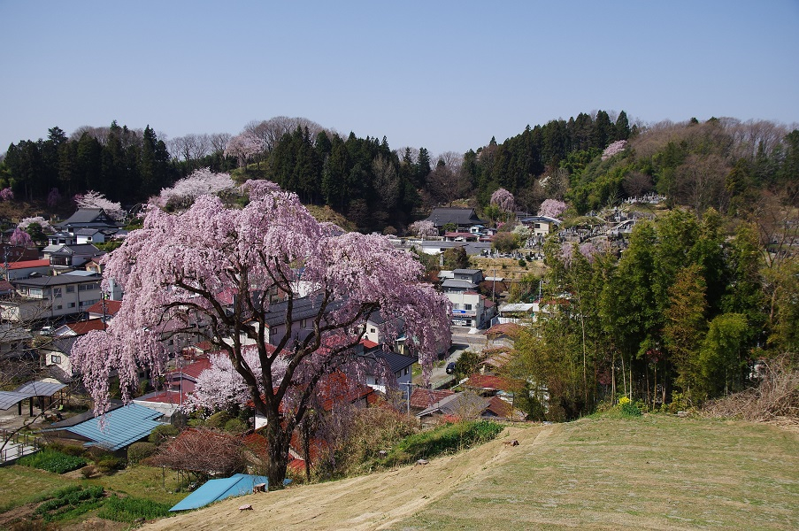 荒町の寺社